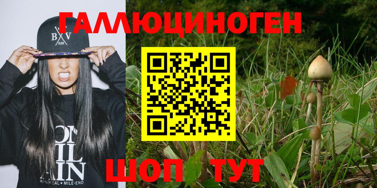 Кашира  Псилоцибиновые грибы Magic Shrooms  Псилоцибиновые грибы мицелий  Вход с VPN 