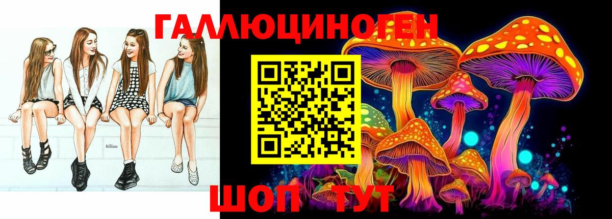 Галлюциногенные грибы Psilocybine cubensis Кашира